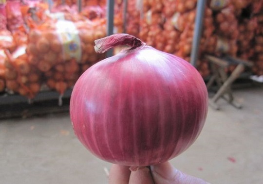 Ссылка на сайт omg omg onion