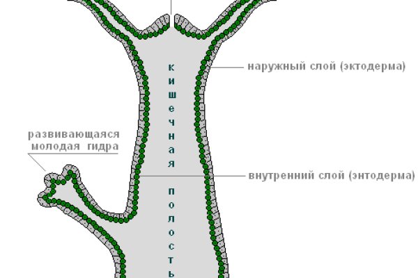 Как загрузить фото на кракен