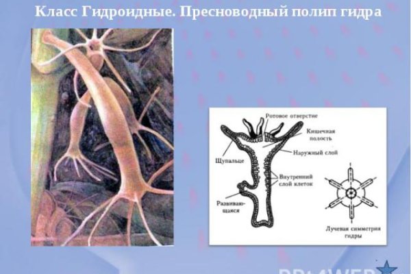 Кракен зеркало krk market com